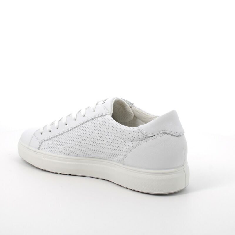 Sneakers Uomo Sacha - immagine 3
